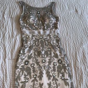 Adrianna Papell beaded dress